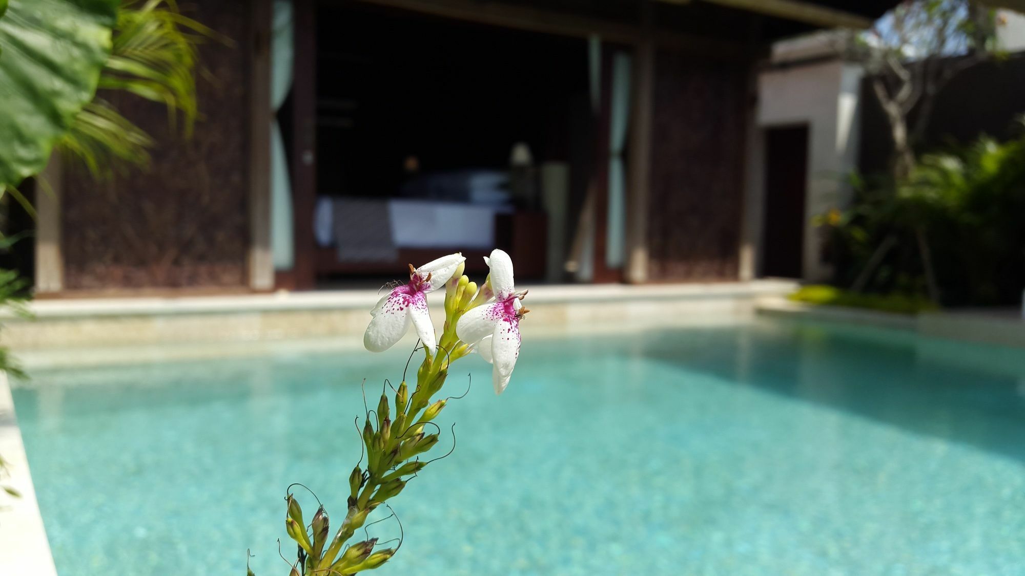 Sri Abi Ratu Villas Sukawati Exteriör bild